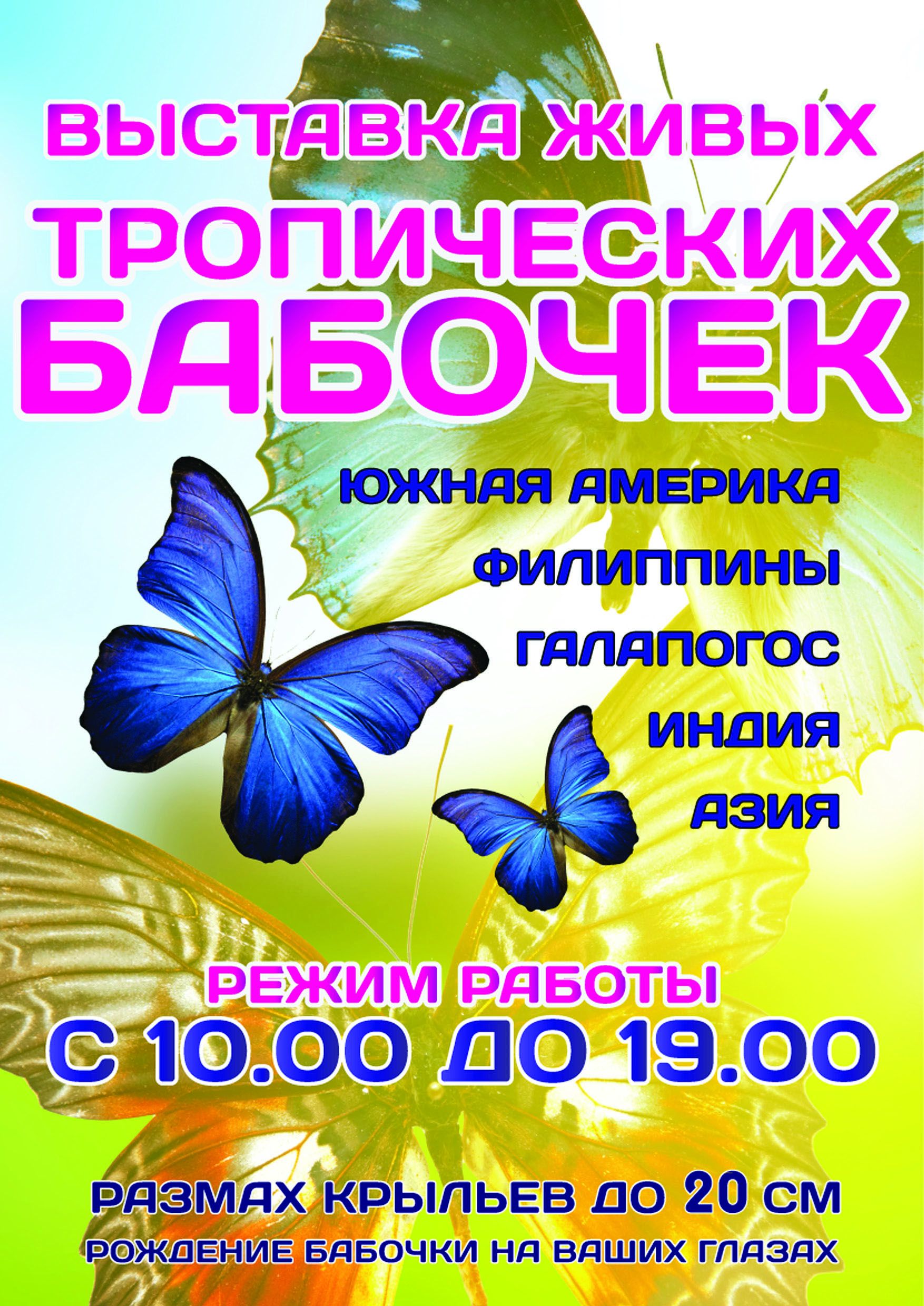 ПРИХОДИ на выставку живых тропических бабочек в Азнакаево