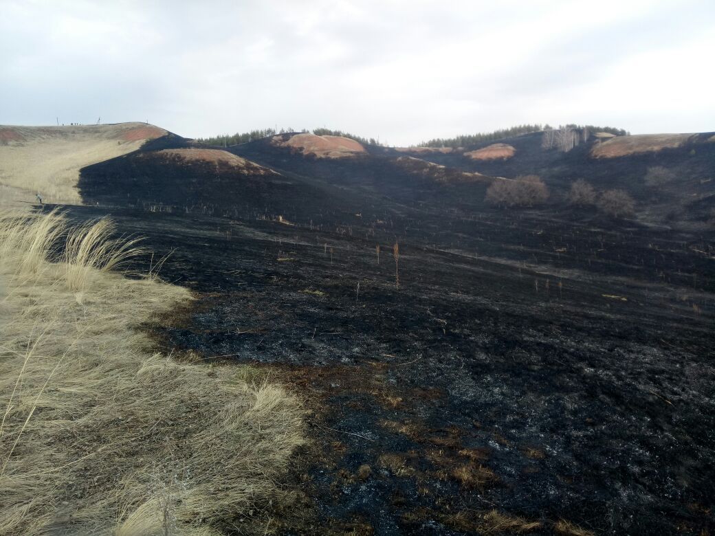 Сегодня в Азнакаево на горе Чатыр-тау произошел пожар  - 10 ФОТО