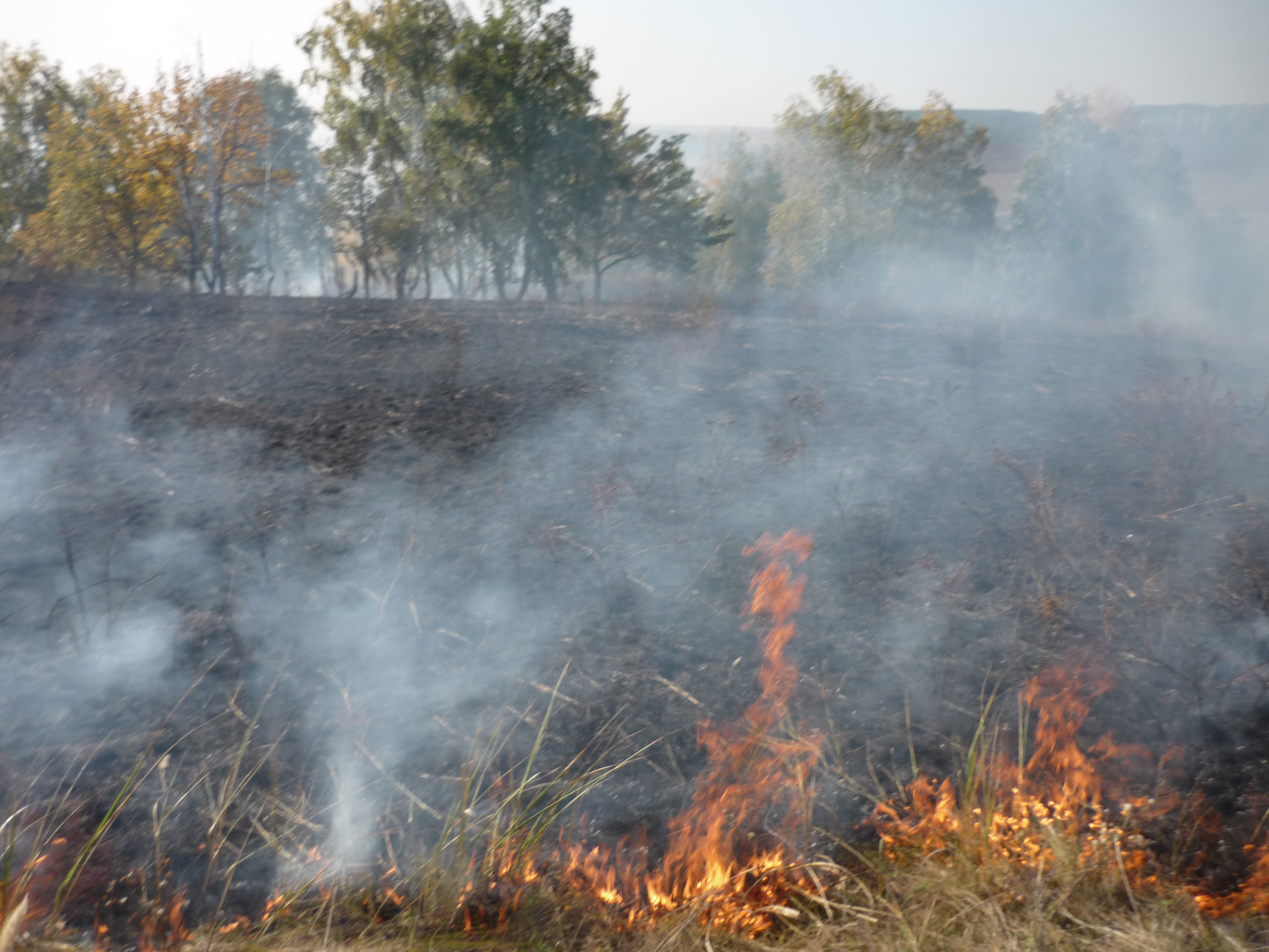 пожар в Азнакаево
