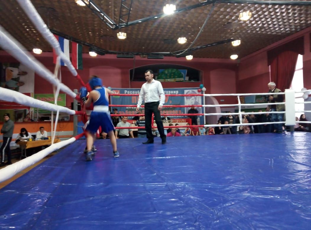 В Азнакаево проходит республиканский турнир по боксу (ФОТО+ВИДЕО)