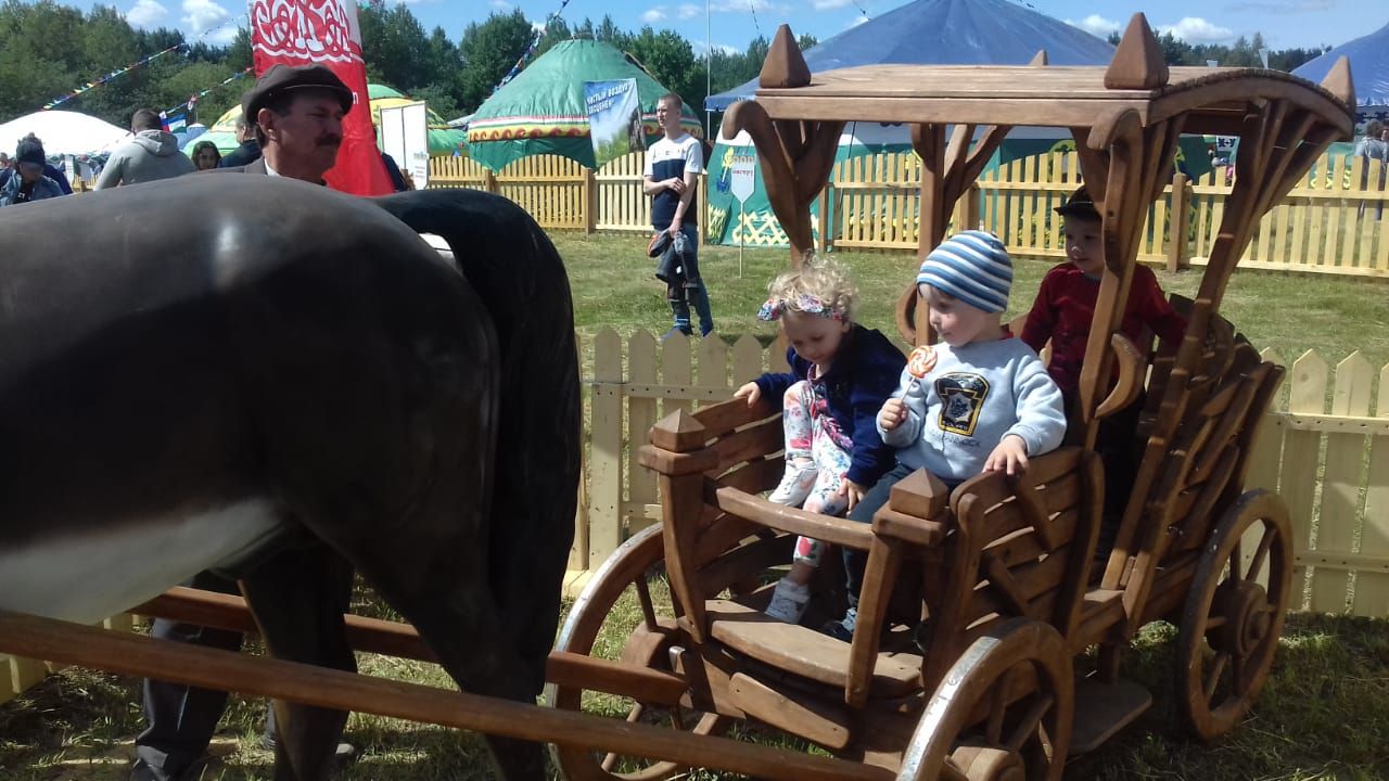 Сегодня в Санкт-Петербурге проходит национальный праздник Сабантуй (ФОТО, ВИДЕО)