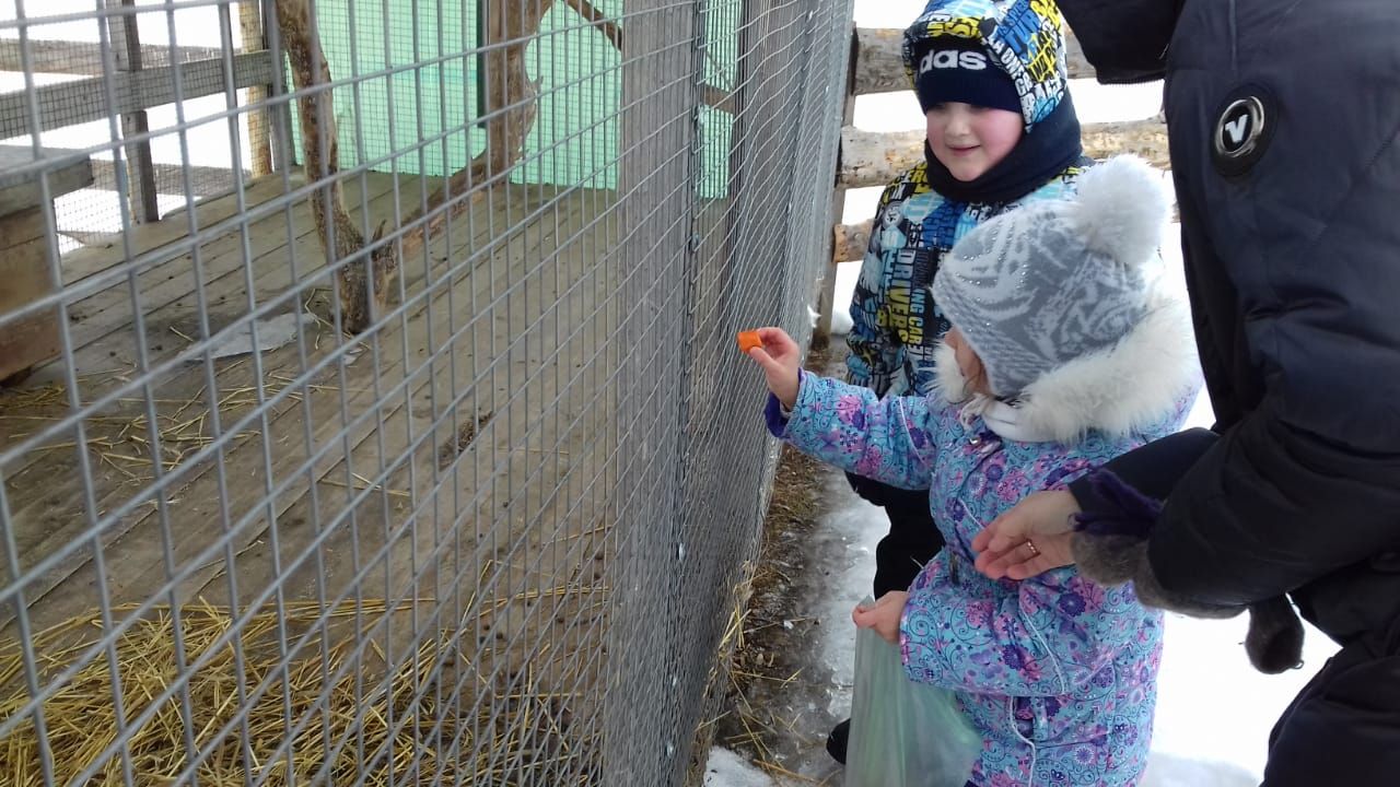 Азнакайда мөмкинлеге чикле балалар өчен Май чабу бәйрәме узды