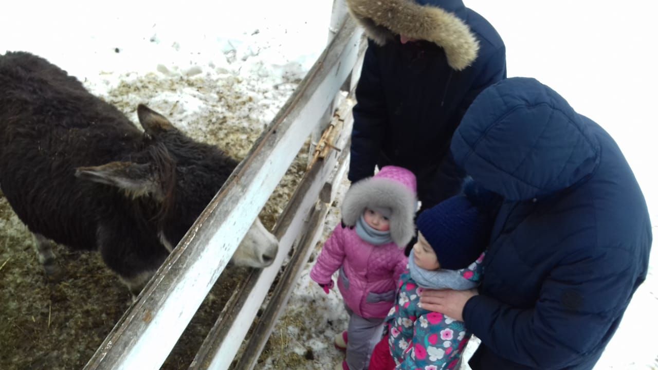 Азнакайда мөмкинлеге чикле балалар өчен Май чабу бәйрәме узды