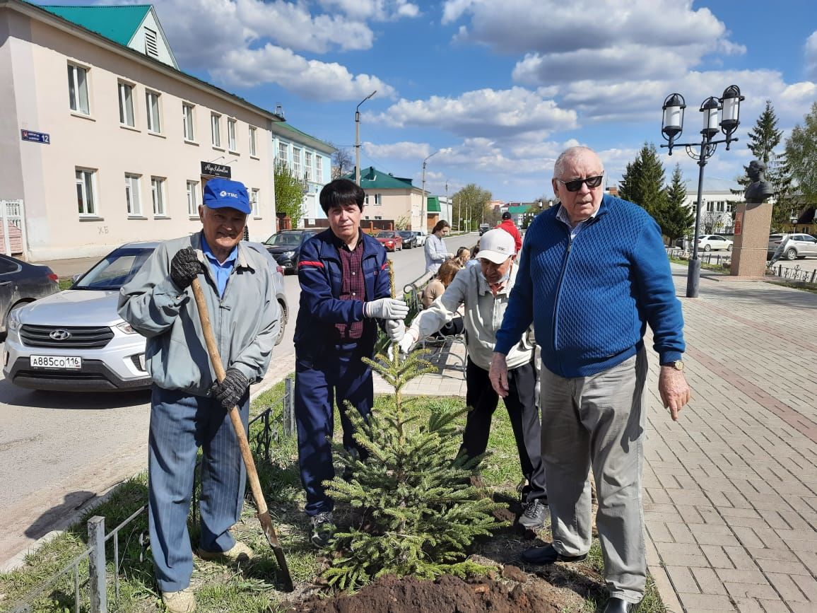 В Азнакаево организовали посадку деревьев в честь 76-летия Победы