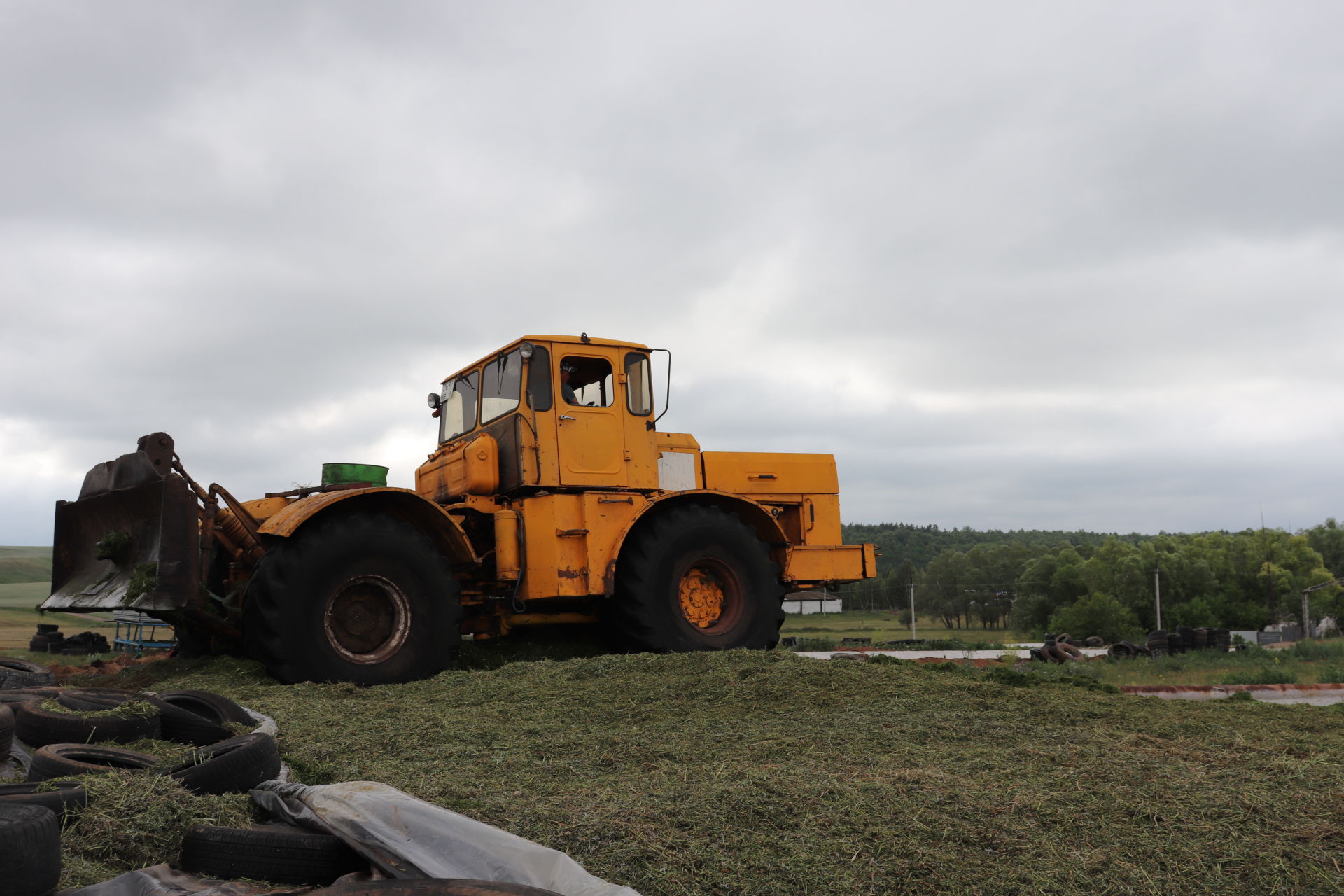 Азнакай районы хуҗалыклары терлек азыгы әзерлиләр