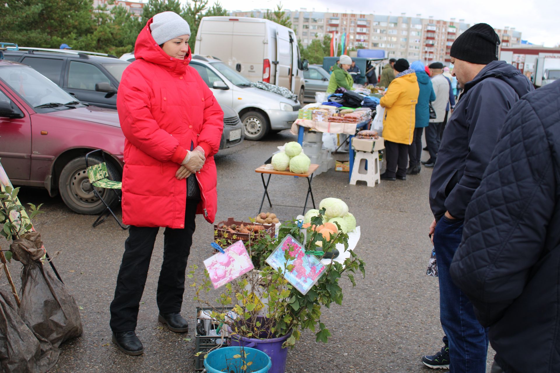 Азнакайда авыл хуҗалыгы ярминкәсе гөрли