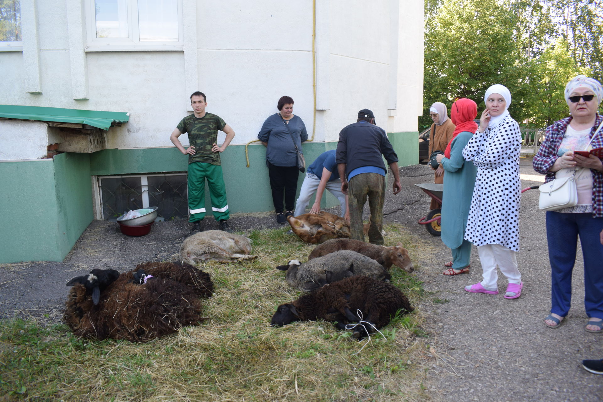 Азнакай районы мәчетләрендә Корбан гаете узды