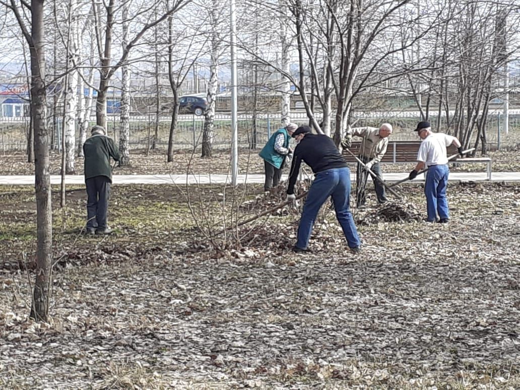 Прихожане Голубой мечети провели субботник в парке Тарсус