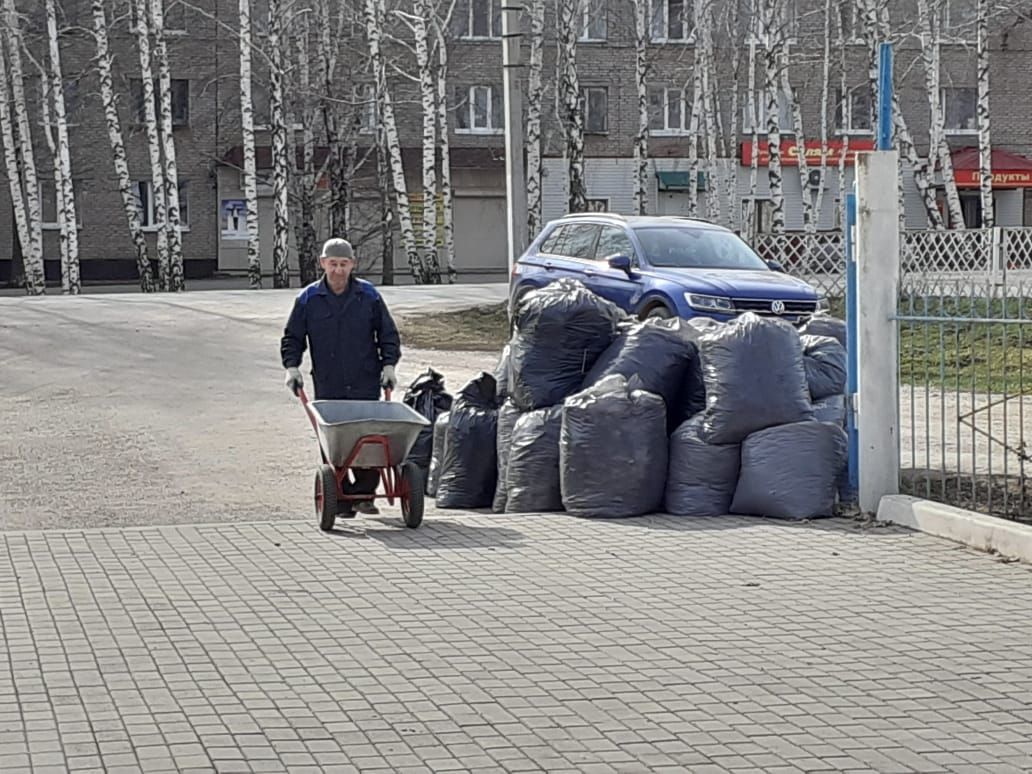 Прихожане Голубой мечети провели субботник в парке Тарсус