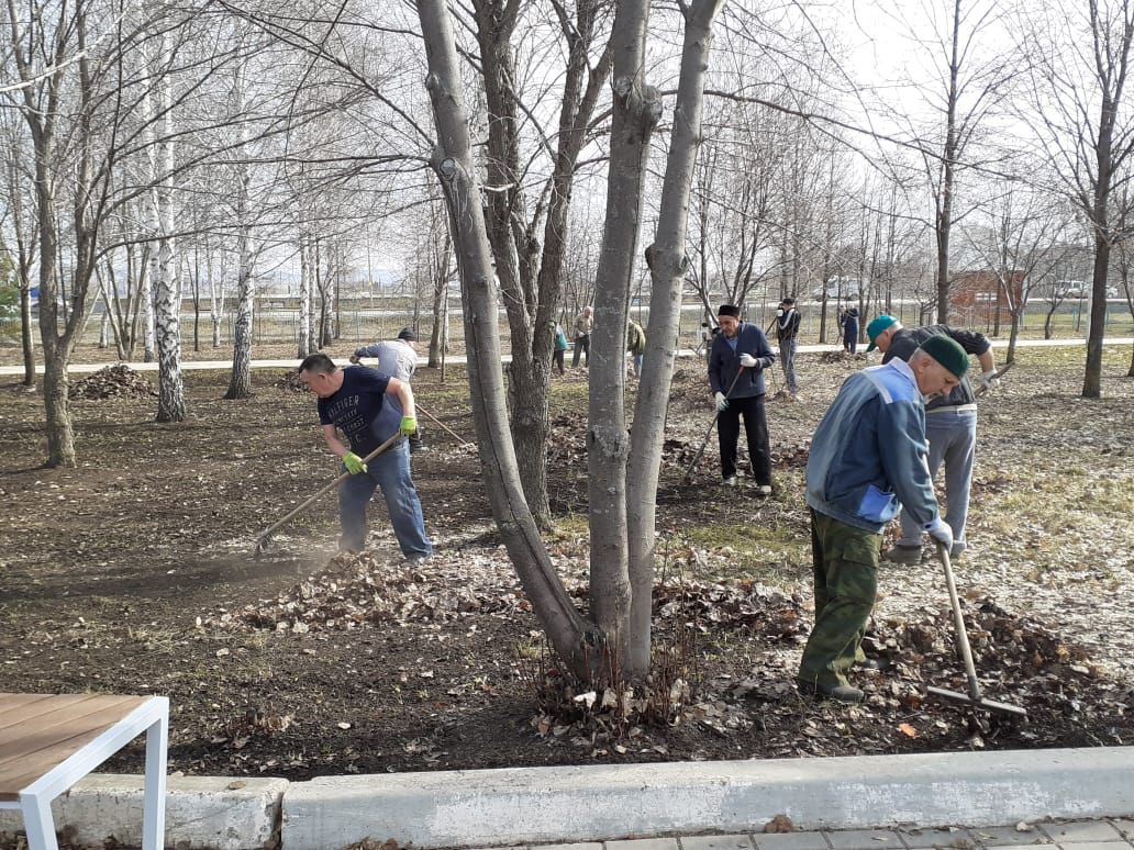 Прихожане Голубой мечети провели субботник в парке Тарсус