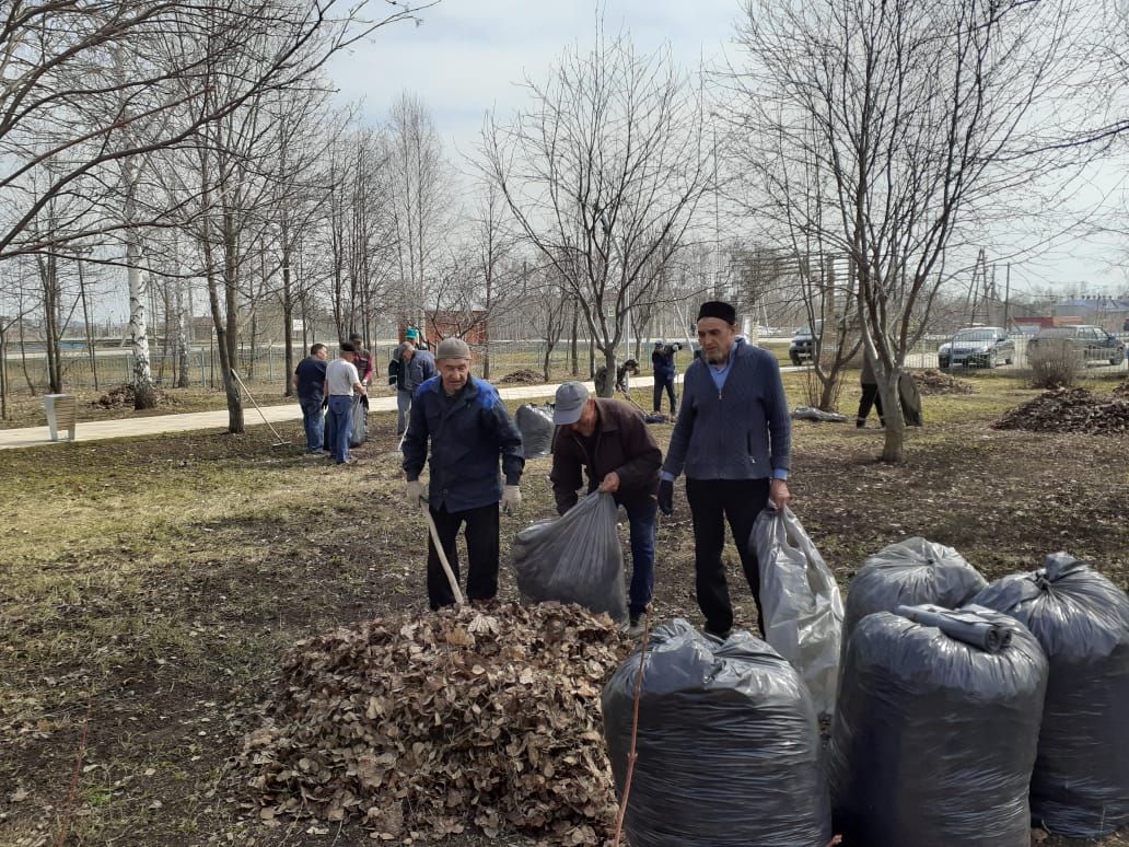 Прихожане Голубой мечети провели субботник в парке Тарсус