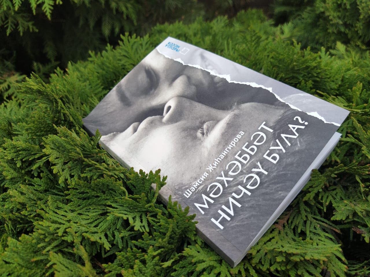 Не пропустите новую книгу Шамсии Зигангировой «Любовь не измерить в числах»