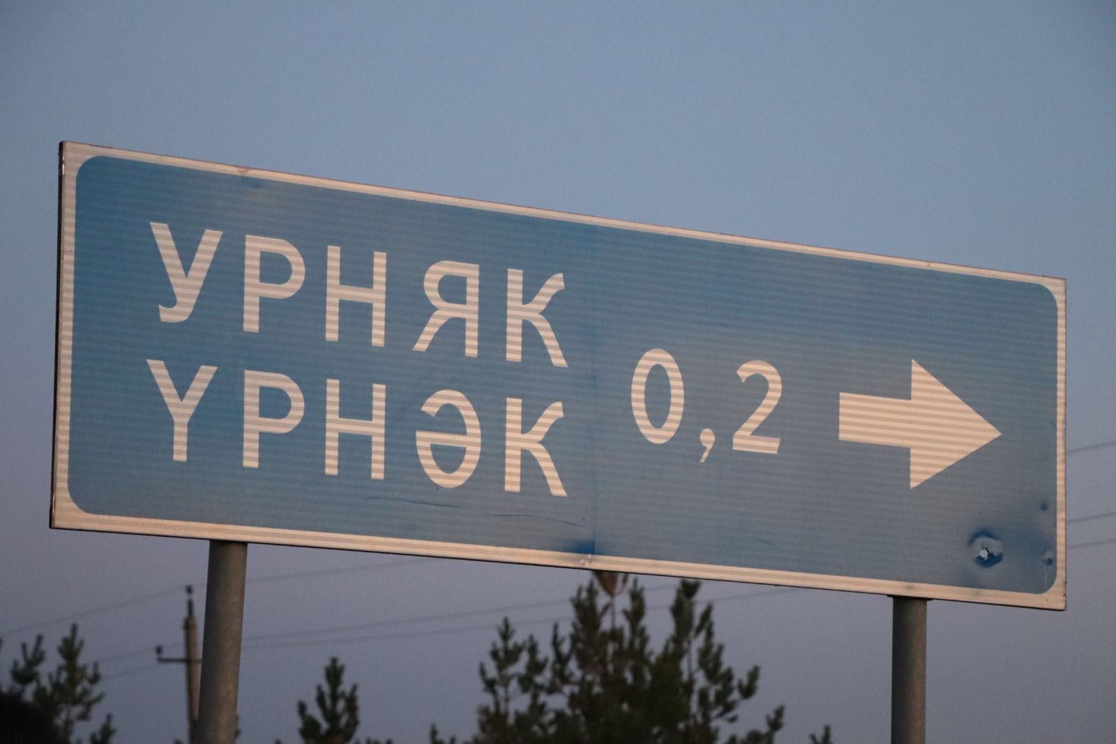 В Азнакаевском районе трёхлетний ребёнок погиб под колёсами грузовика