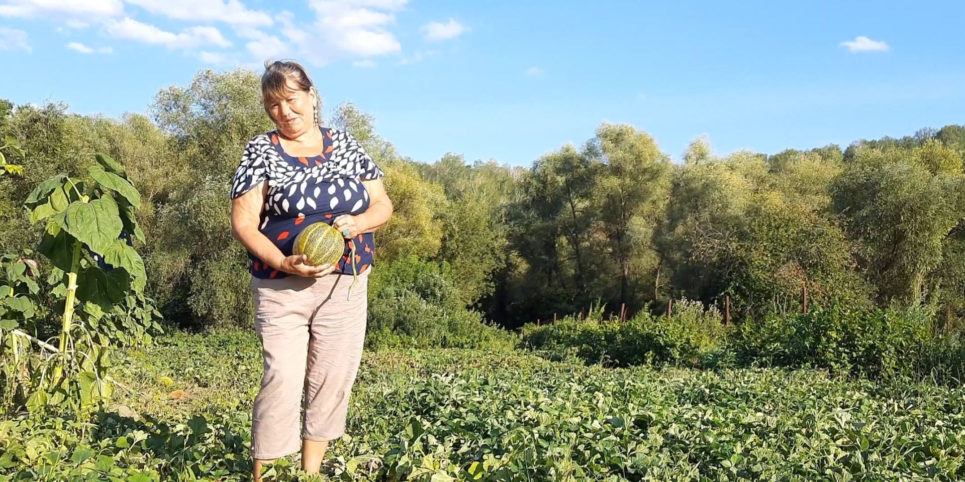 Садовод Фанзиля Раянова продает саженцы плодовых деревьев и цветов