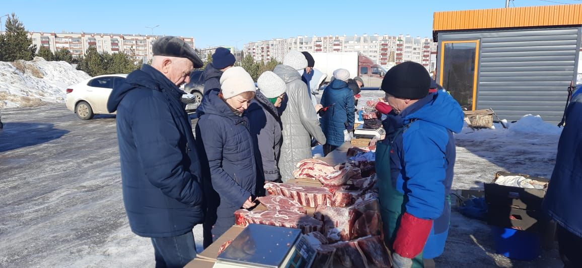 В Азнакаево прошла сельскохозяйственная ярмарка