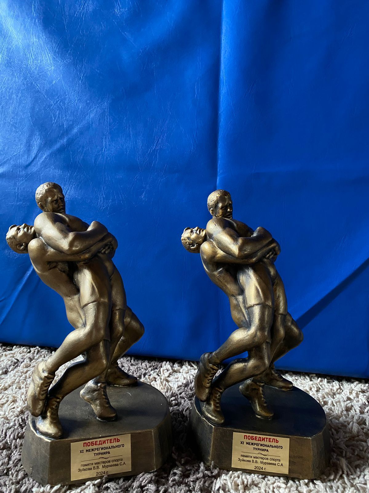Азнакайның яшь көрәшчеләре төбәкара ярыштан алтын медальләр белән кайттылар