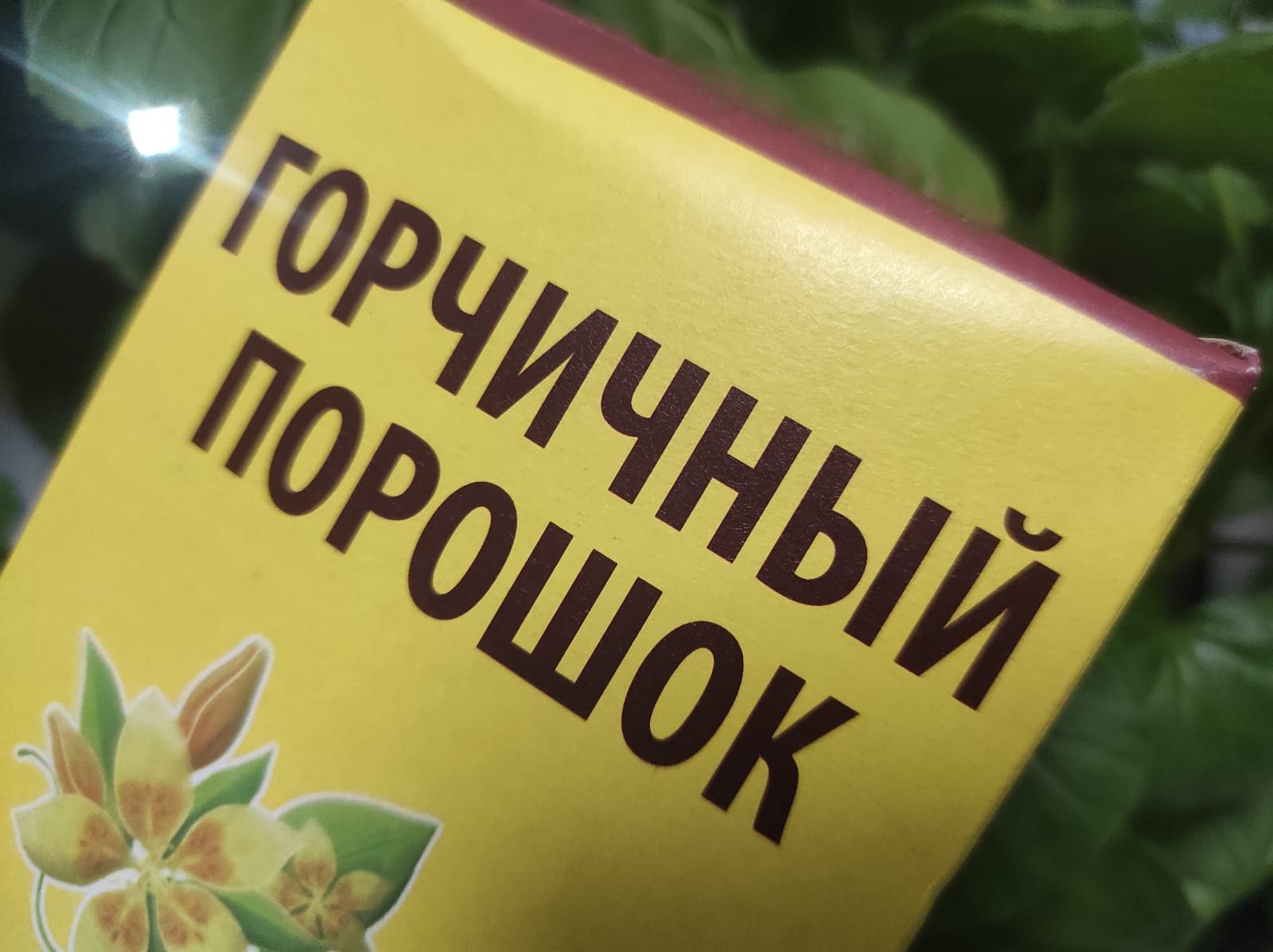 Раскрываем секреты красоты волос: маски с горчицей