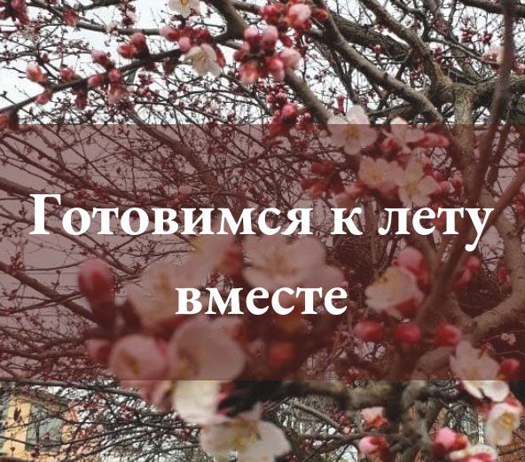 Май – месяц, в течение которого еще можно успеть подготовиться к лету