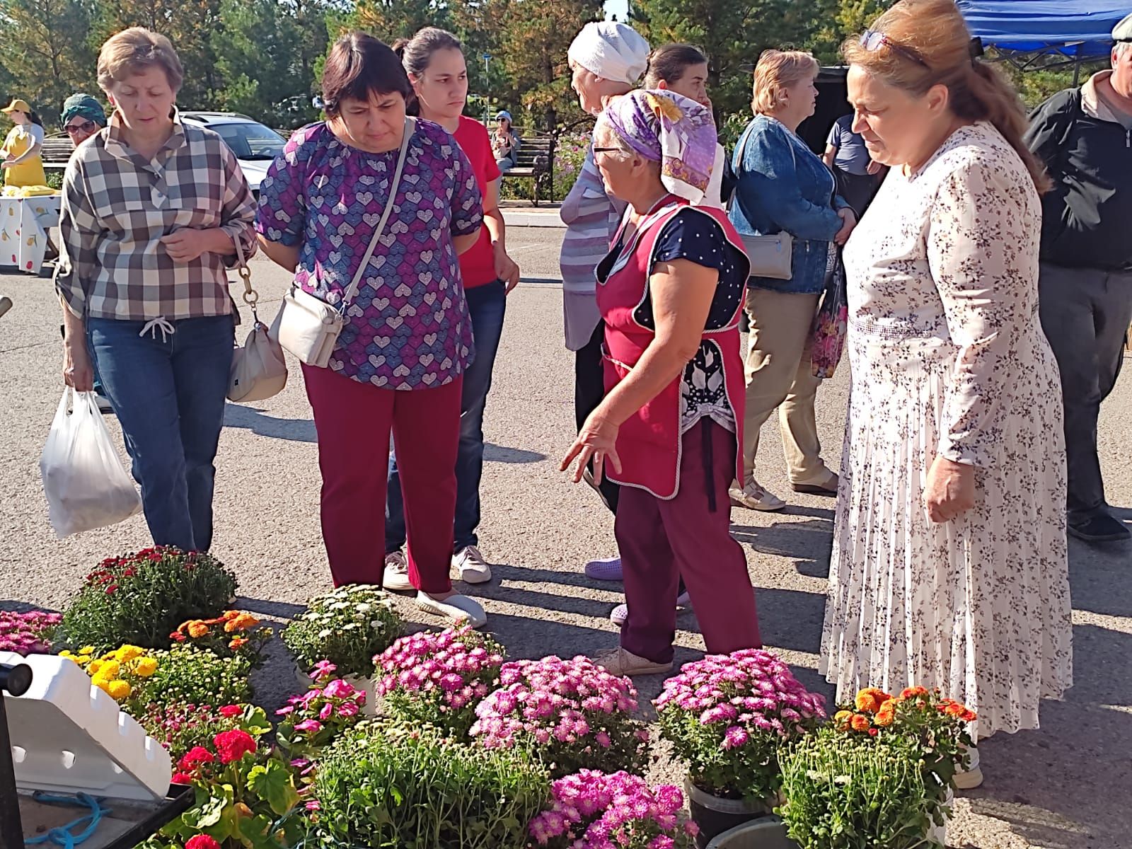 В Азнакаево начались осенние сельскохозяйственные ярмарки