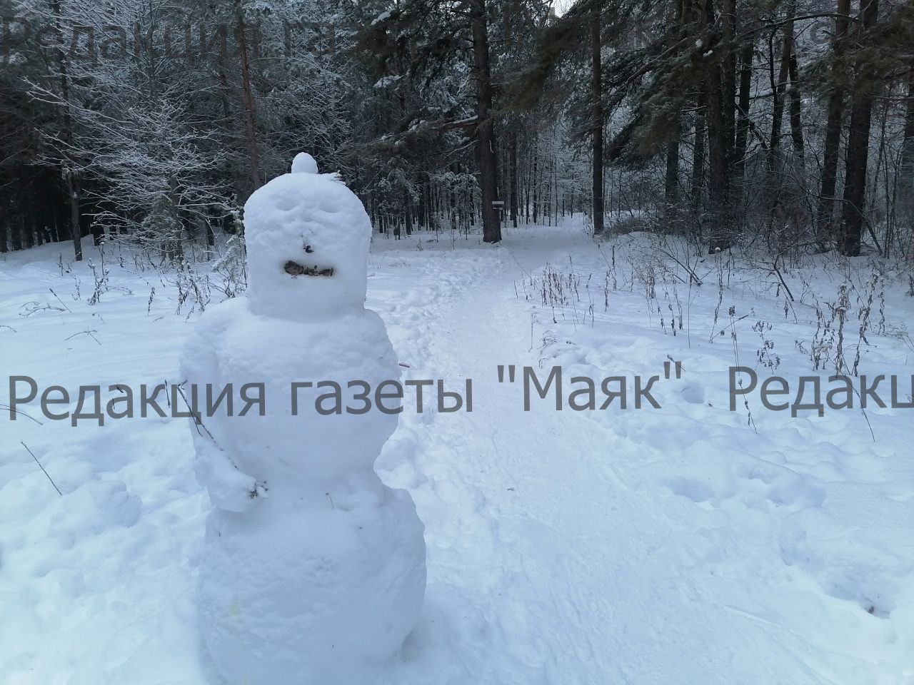 Парад снеговиков