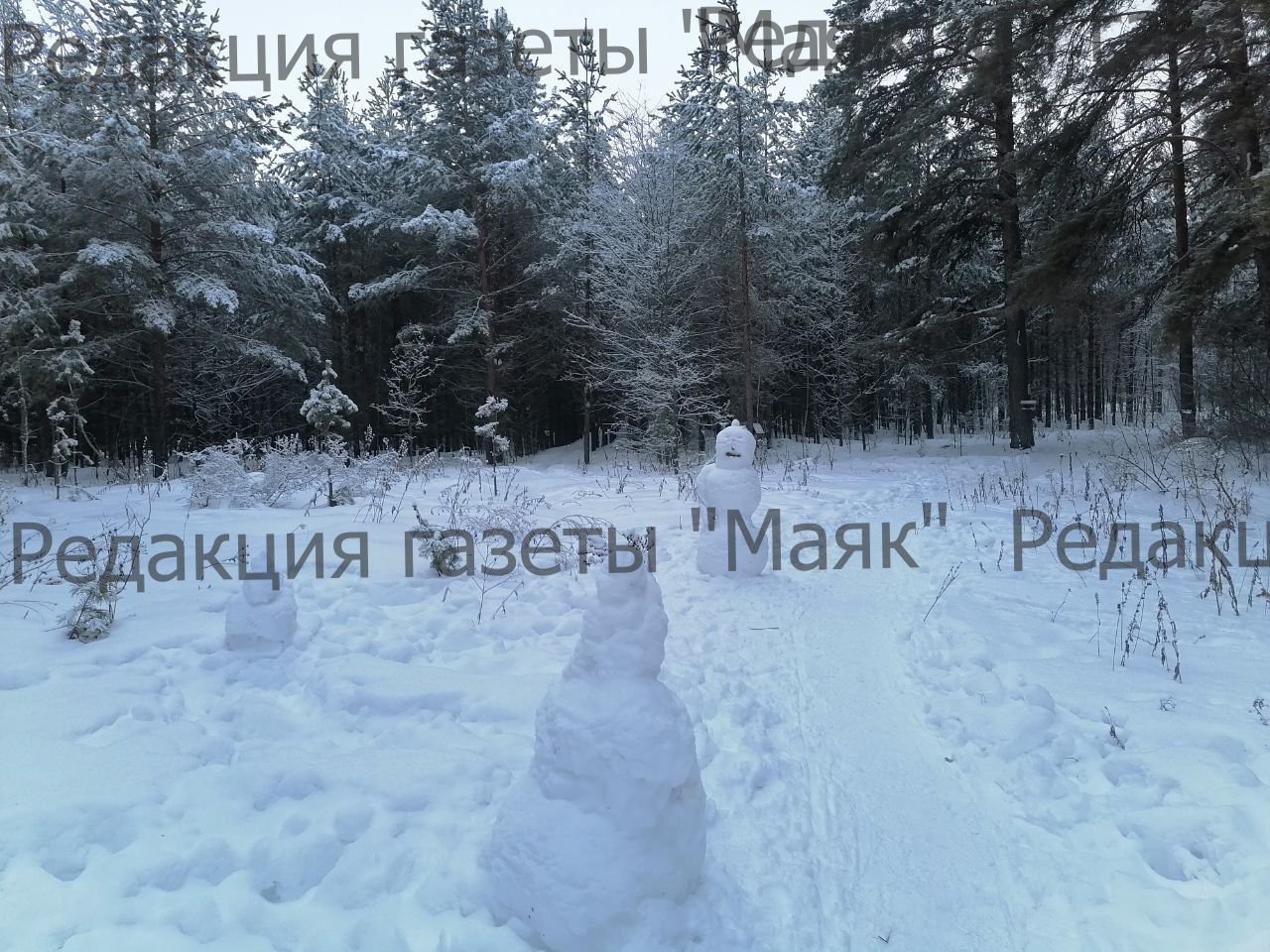 Парад снеговиков