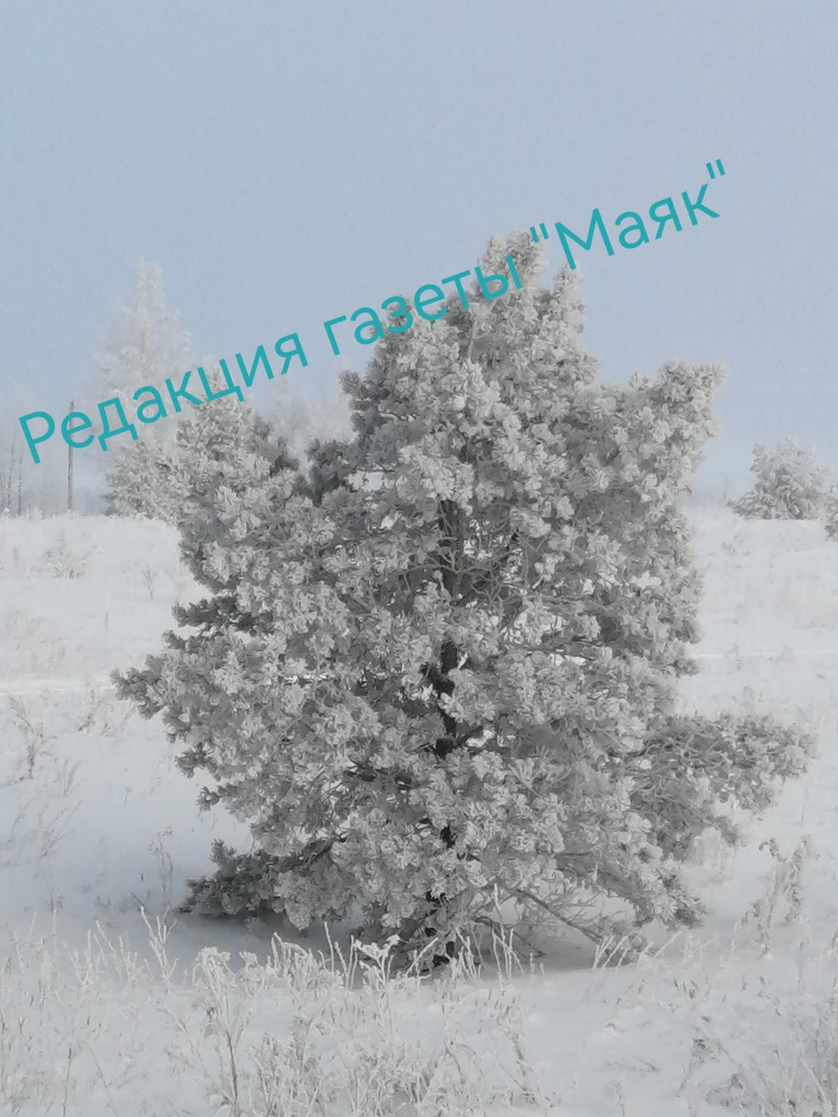 Рождественский сочельник: преддверие чуда