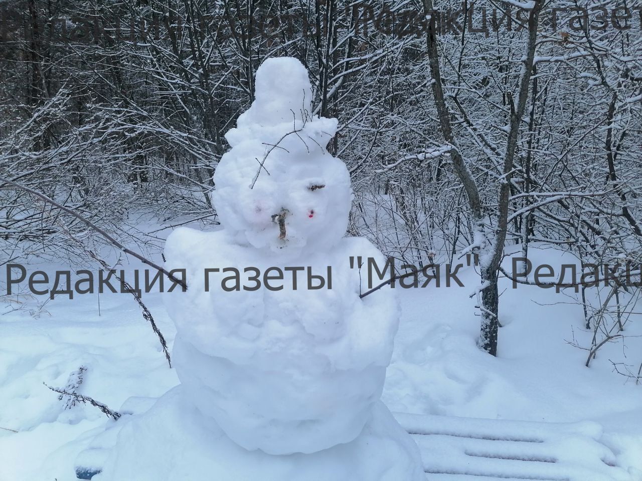 Парад снеговиков