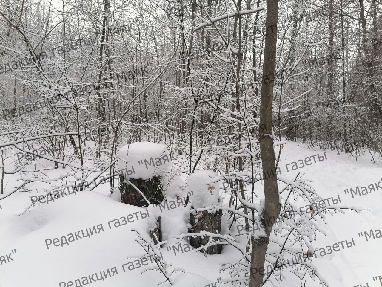 Парад снеговиков