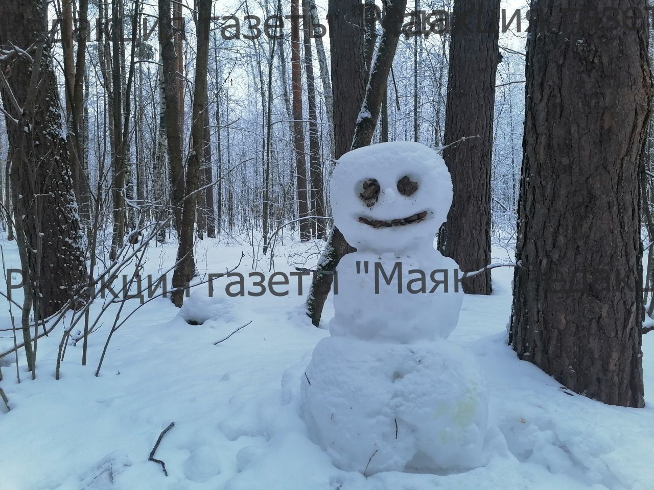 Парад снеговиков