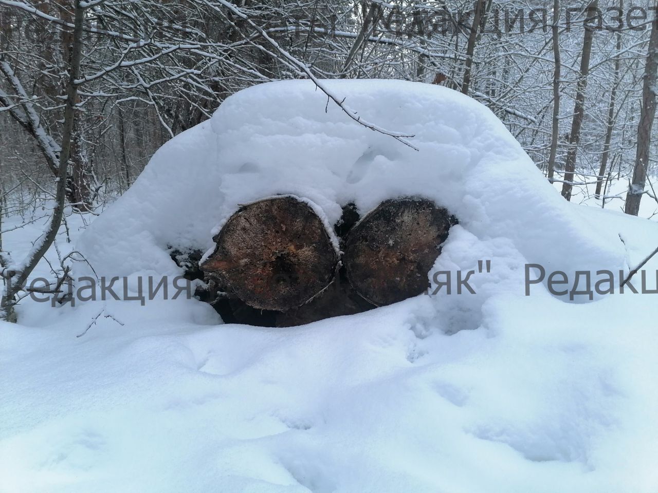 Парад снеговиков