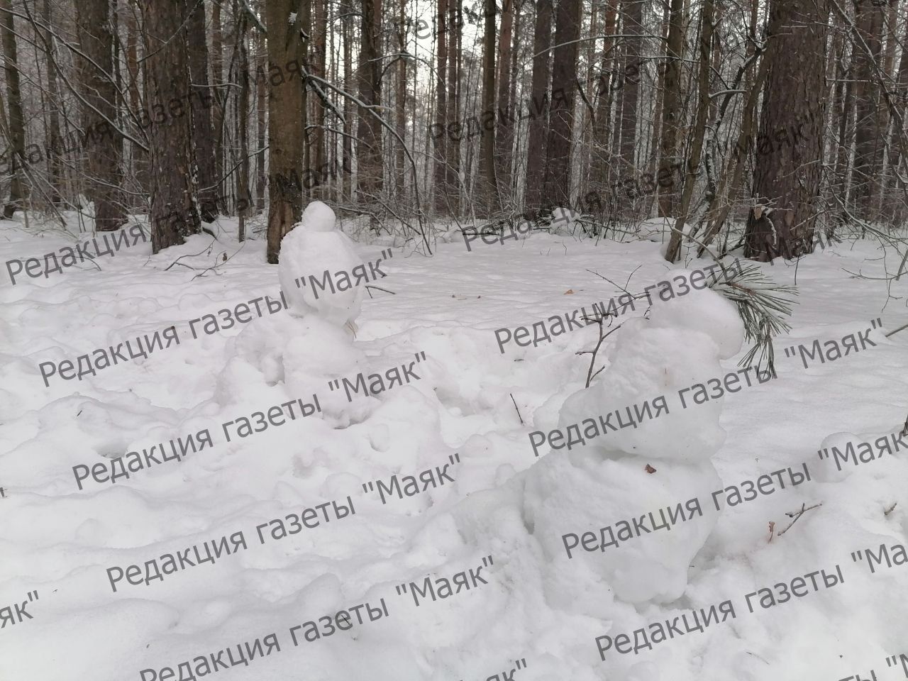 Парад снеговиков