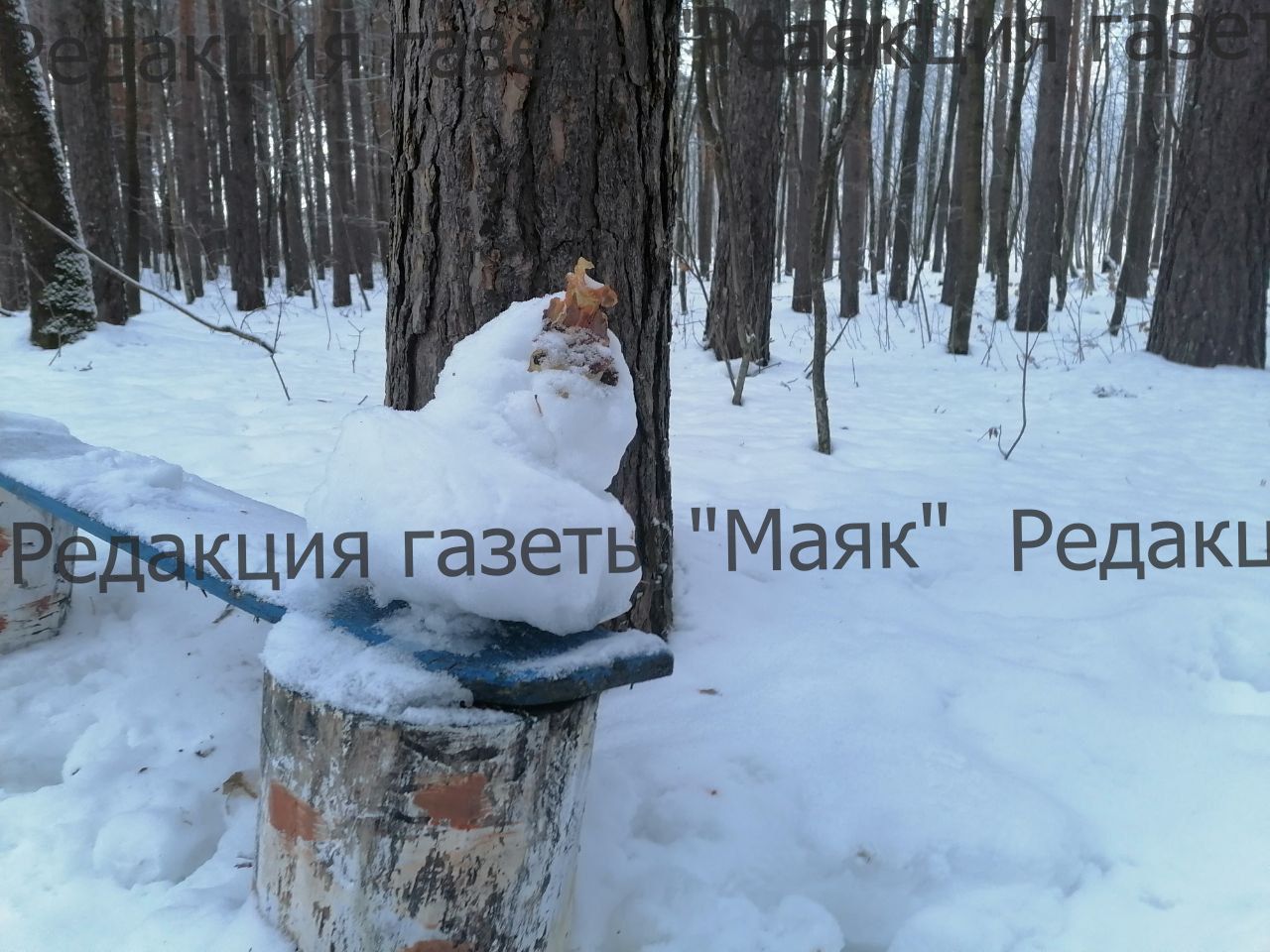 Парад снеговиков