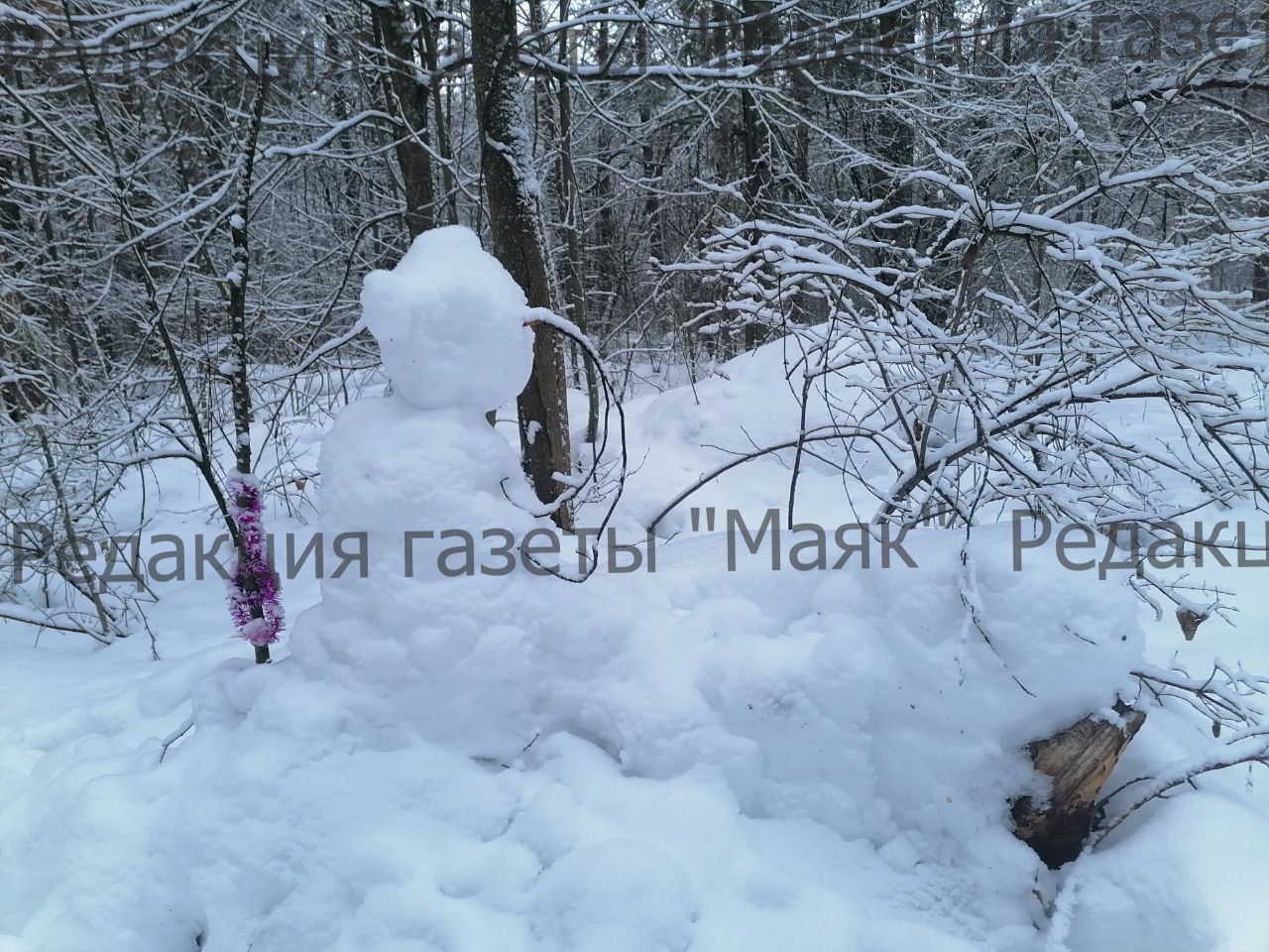 Парад снеговиков