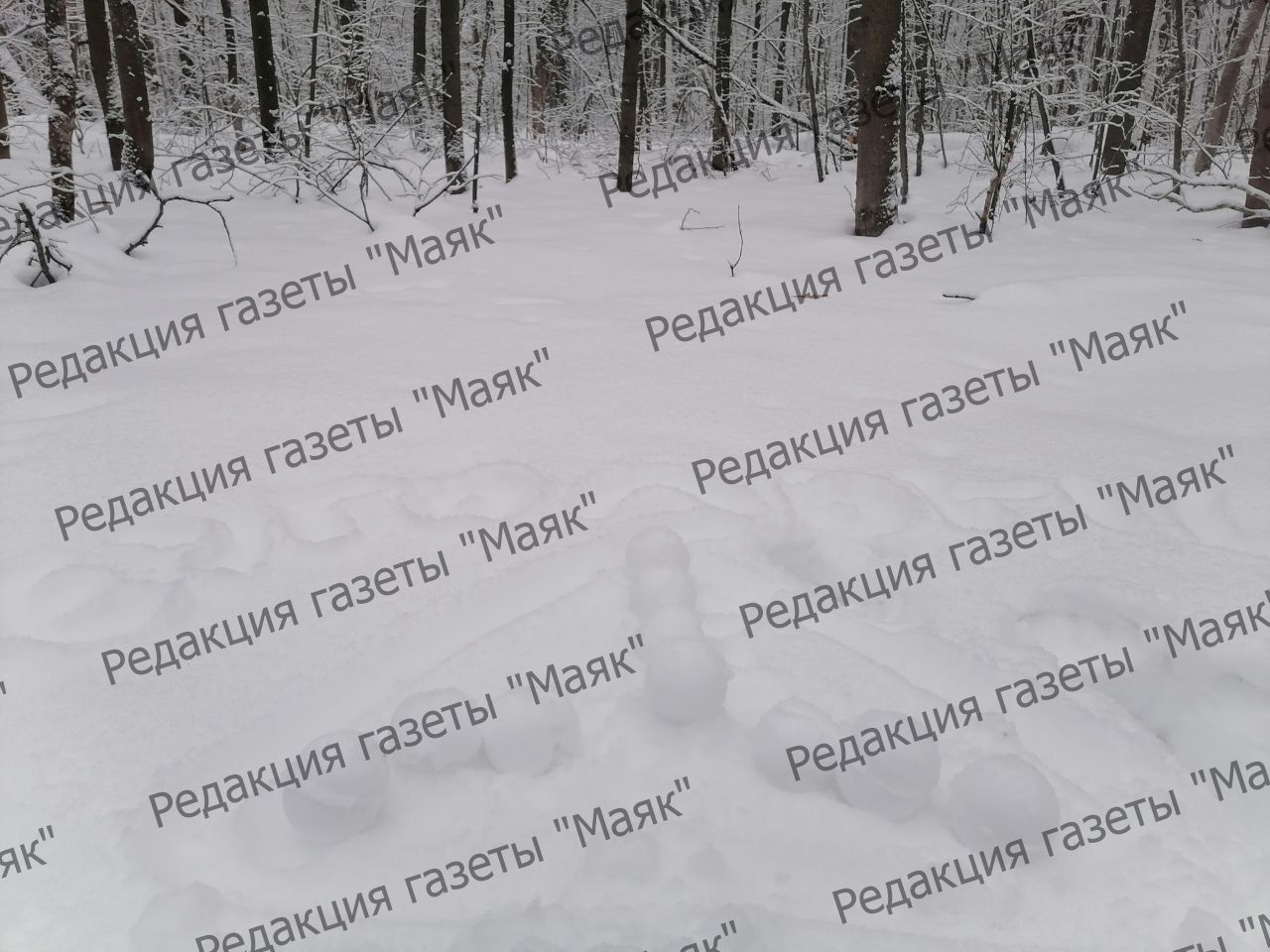 Парад снеговиков