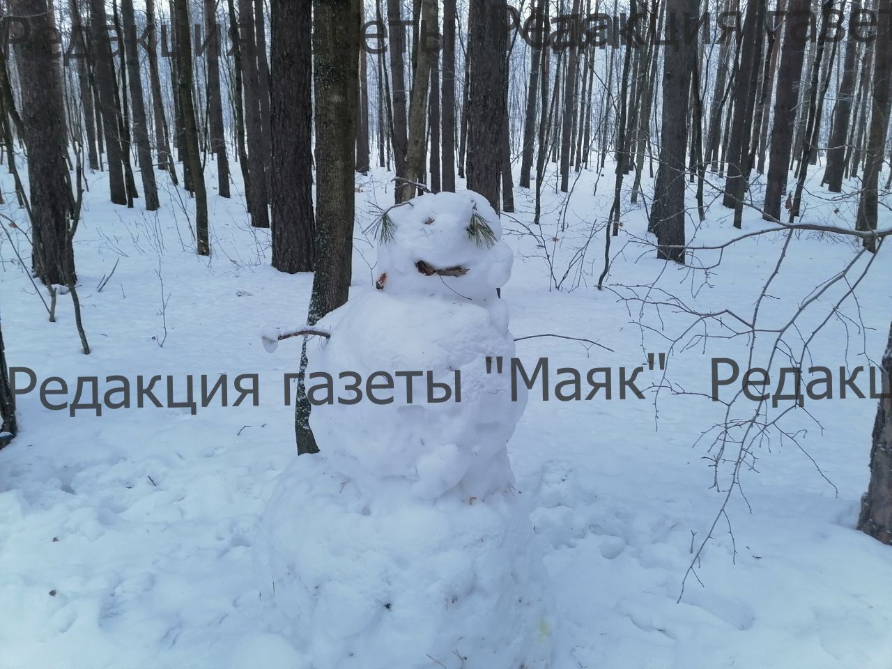 Парад снеговиков