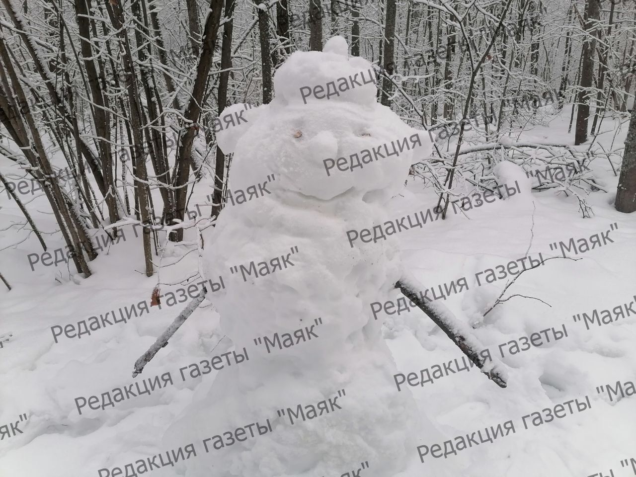 Парад снеговиков