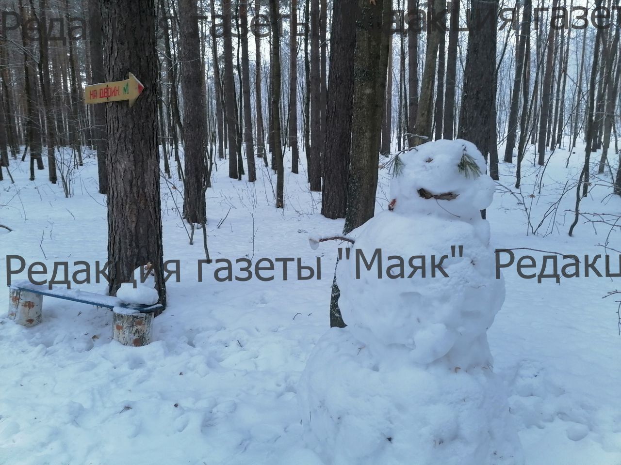 Парад снеговиков