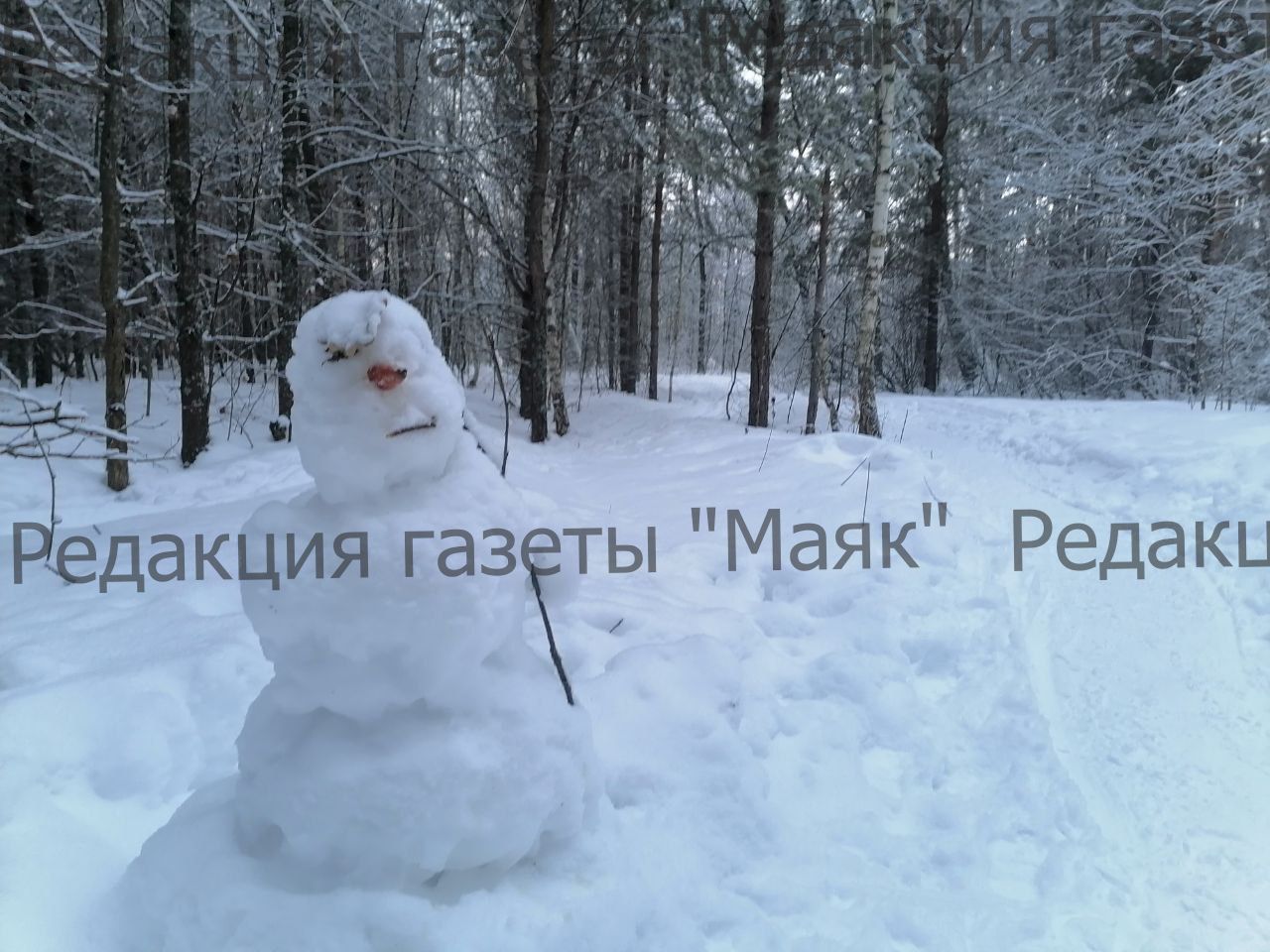 Парад снеговиков