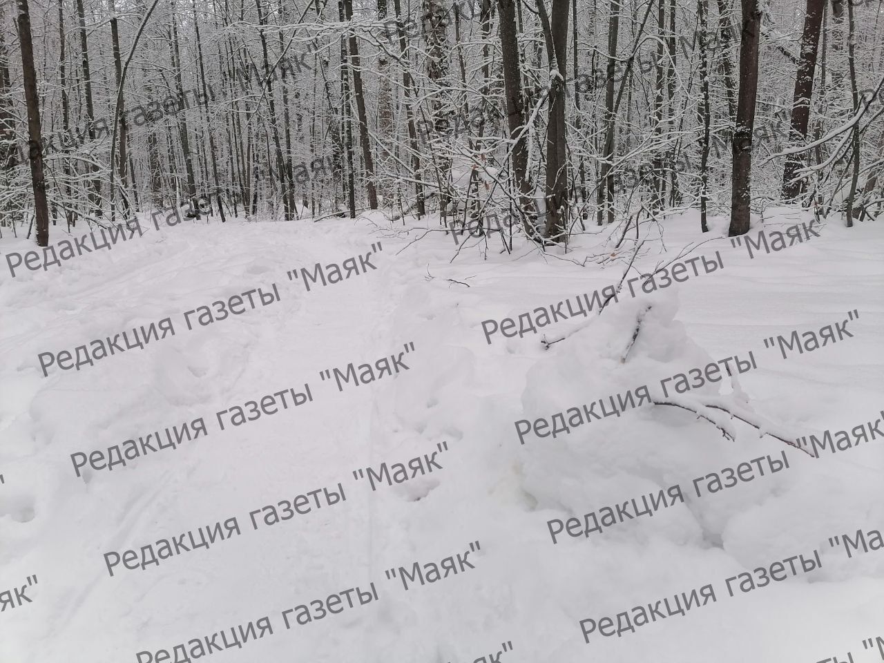 Парад снеговиков