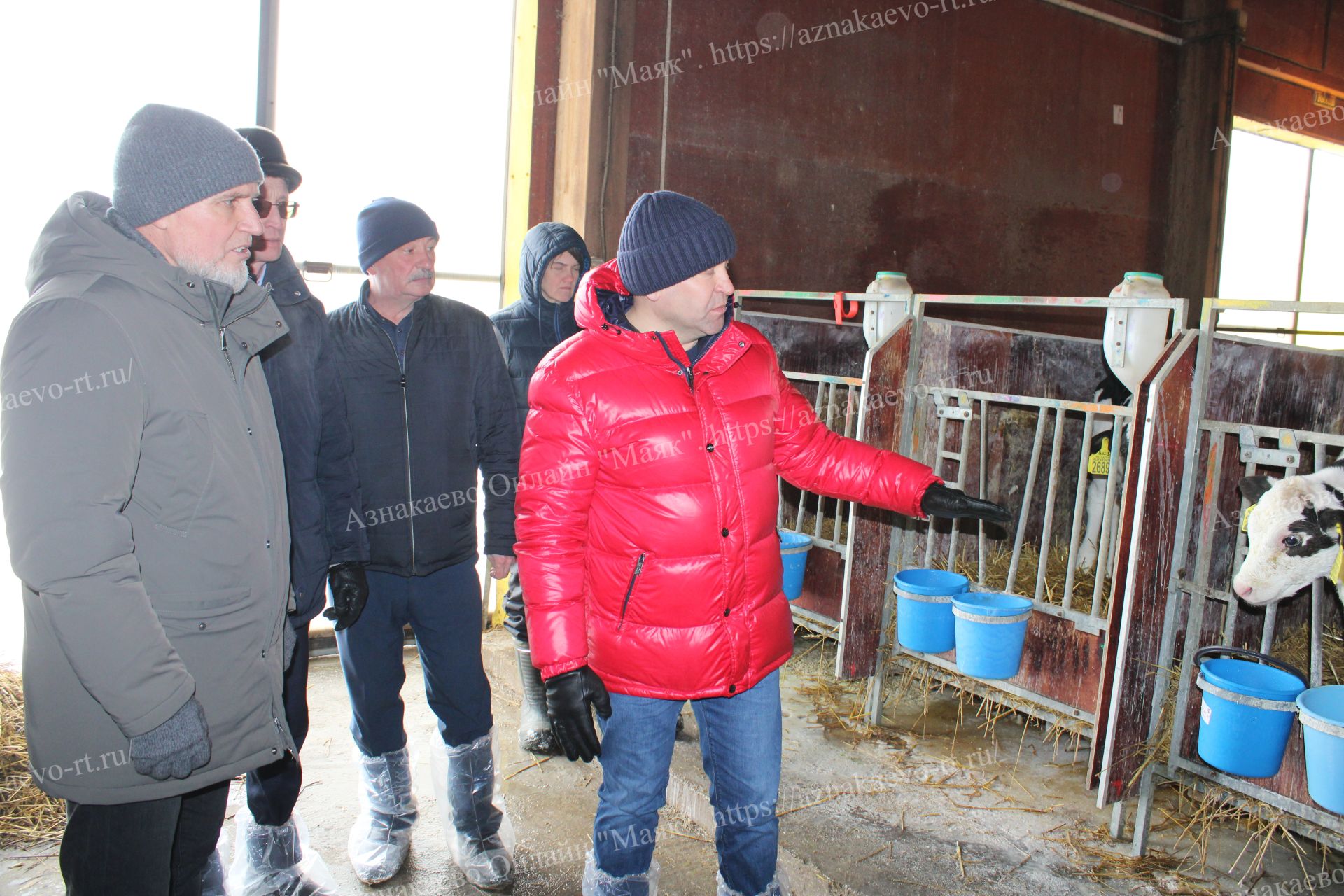 Азнакайга республиканың баш ветеринары килде