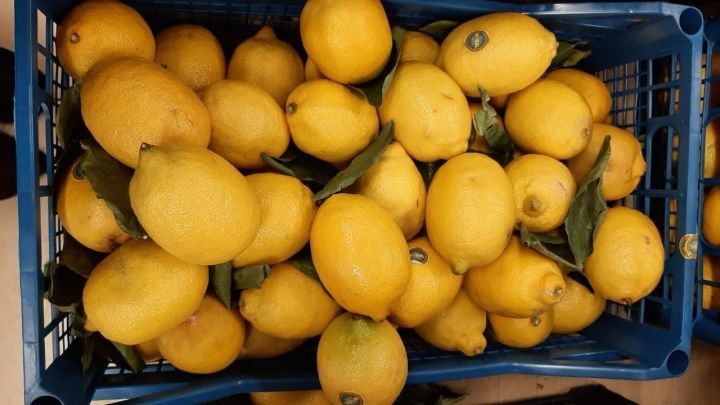 10 продуктов, которые могут помочь вашему телу хорошо пахнуть