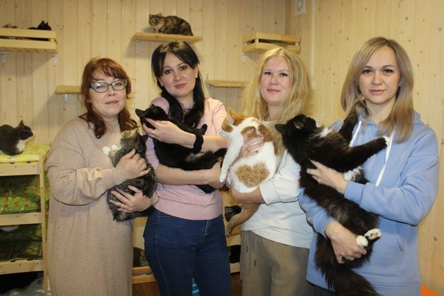 «Всех не спасти» – так говорят многие. И в итоге не помогают никому