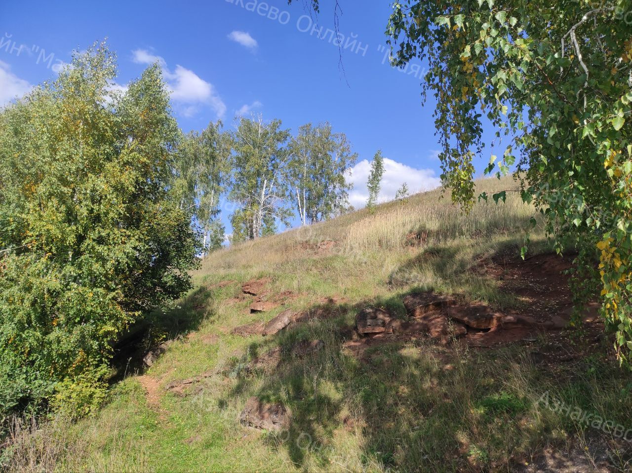 Леса Татарстана восстановлены на площади 2,8 тысячи гектаров