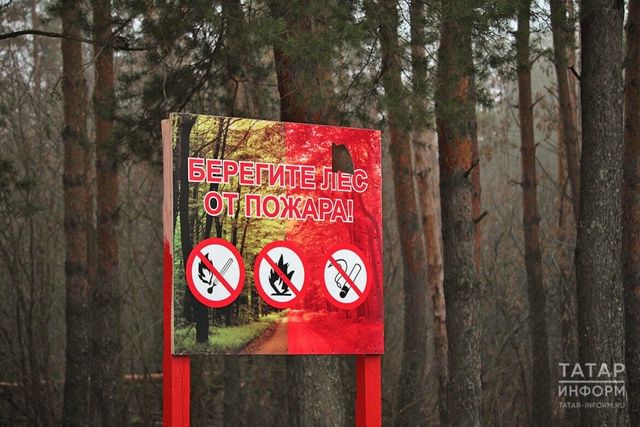 В Татарстане объявлена высокая пожарная опасность в лесах