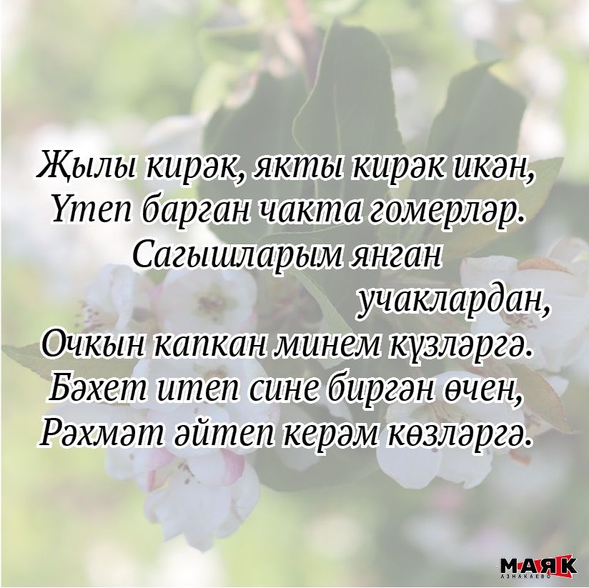 Альбина Мортазинаның иҗаты