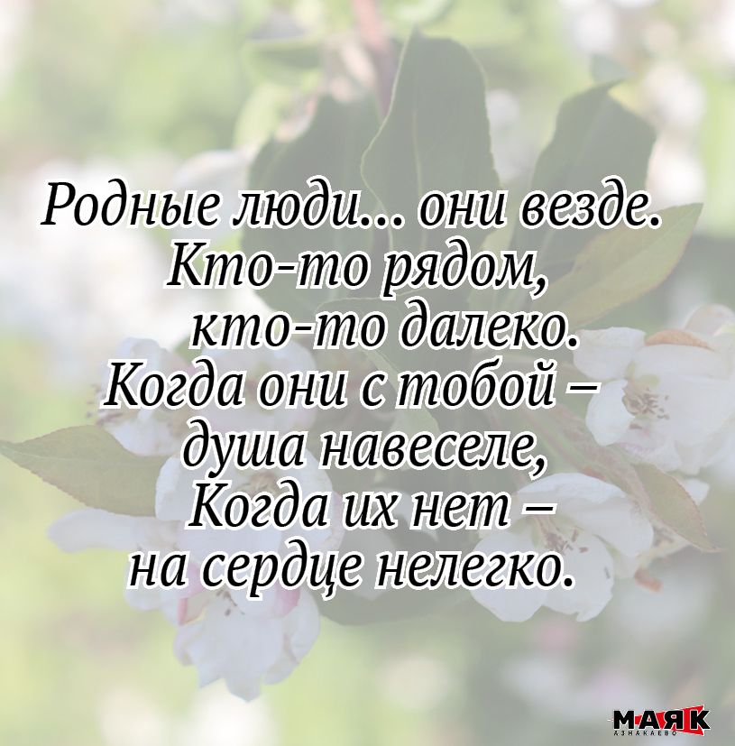 Творчество Ильнура Нагимова