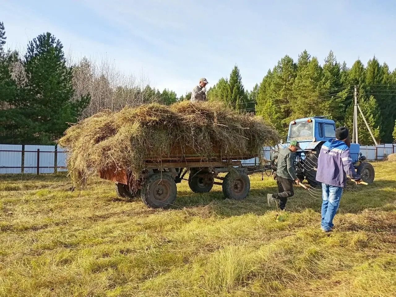 Бердәмлек көче