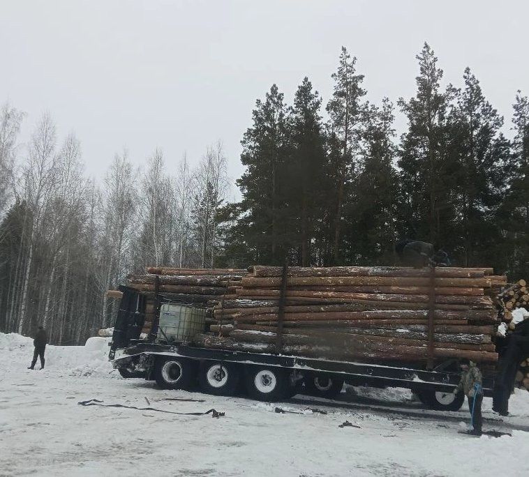 50 тонн древесины из Азнакаево - в поддержку бойцов СВО