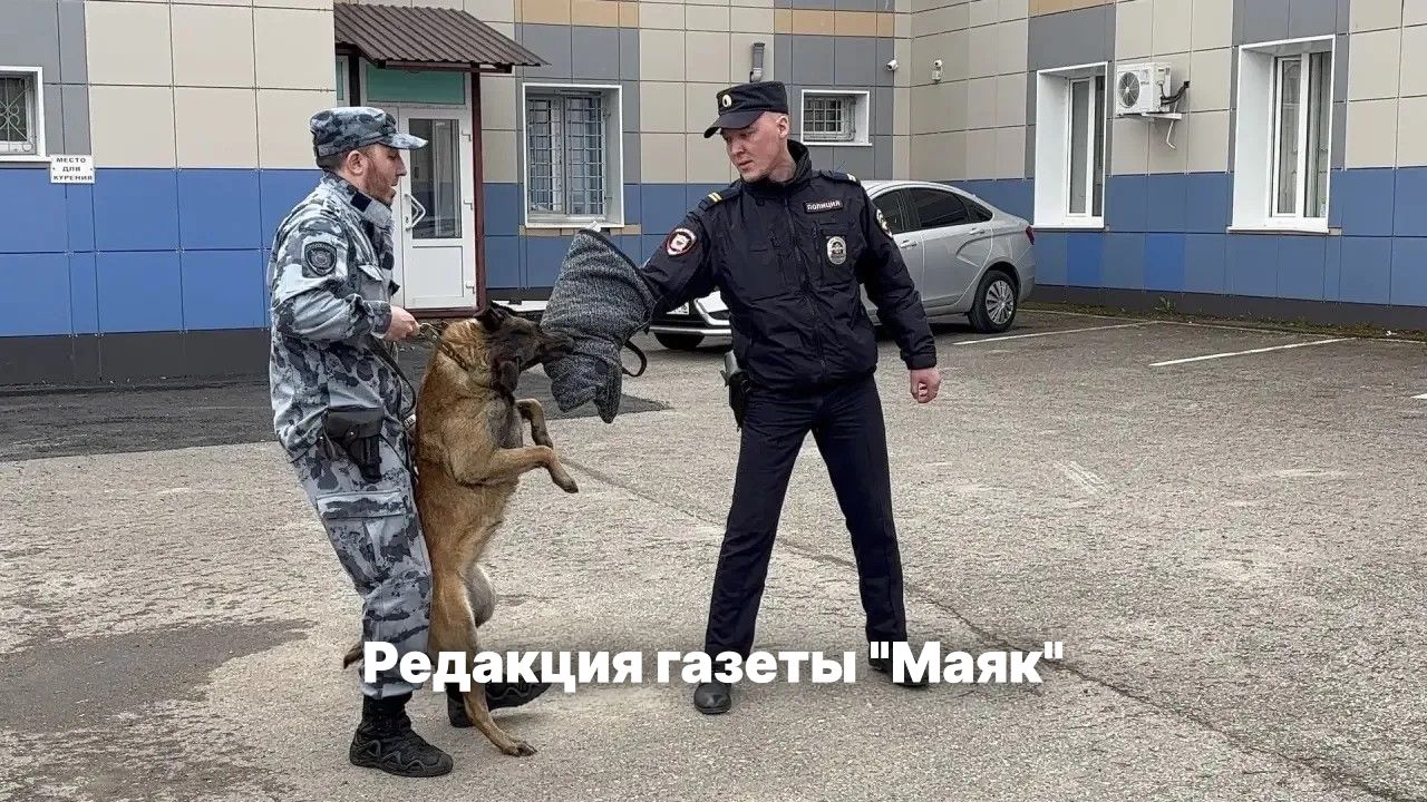 Азнакайда мәктәп укучылары полиция кинологлары эше белән танышты