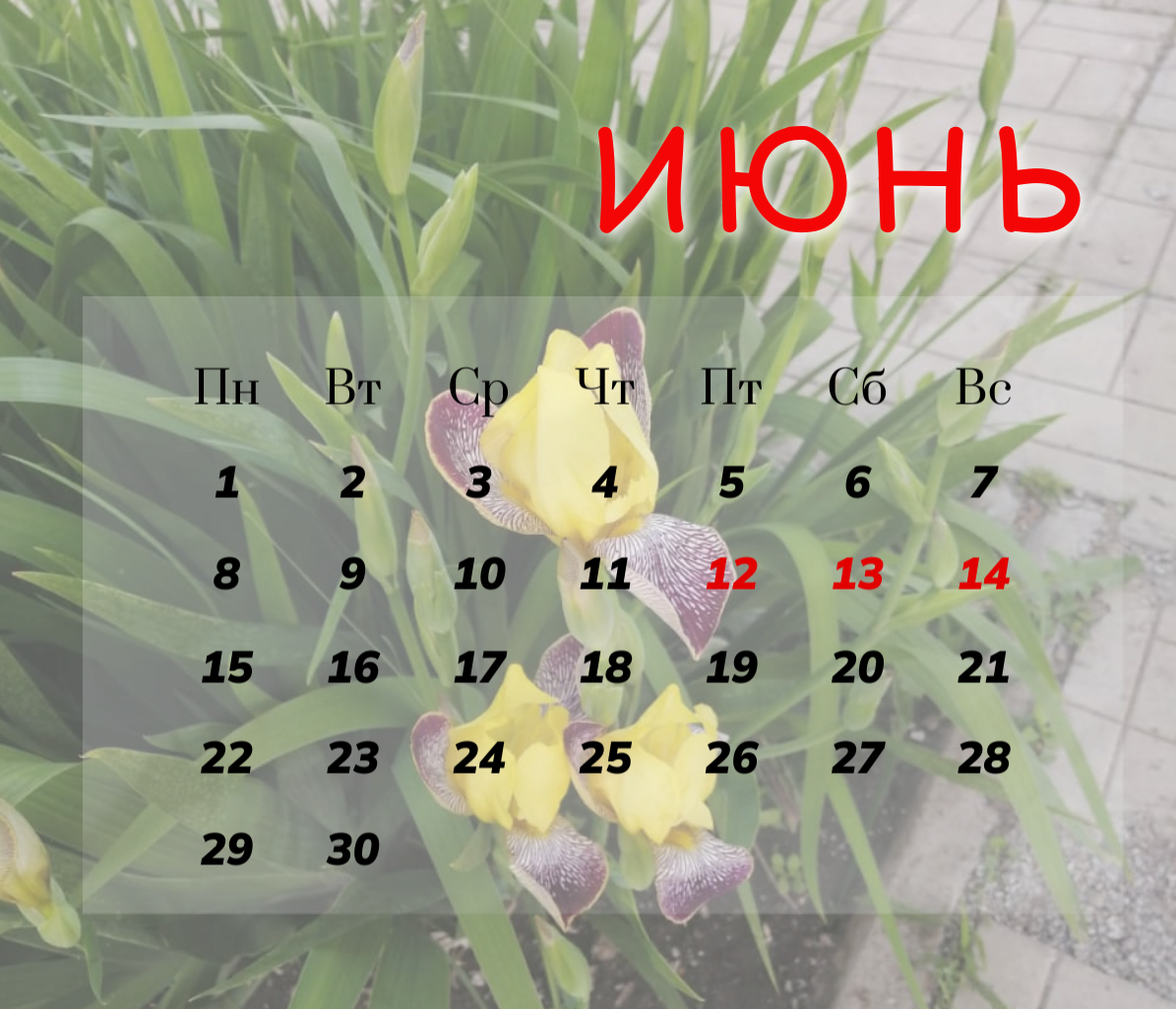 Как отдыхаем в июне 2026 в Татарстане: длинные выходные на День России